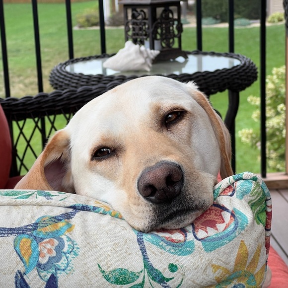 Meet your Posher, Karyn - Picture 2 of 2